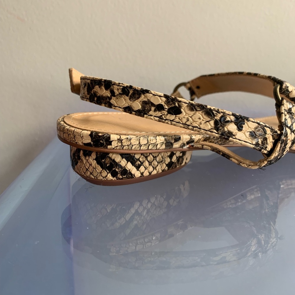 Snake Print Sandals - Picture 5 of 6